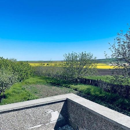 La Elvetian Otel Yaş Dış mekan fotoğraf