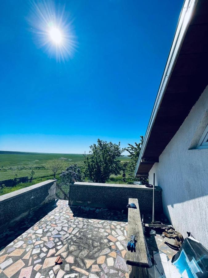 La Elvetian Otel Yaş Dış mekan fotoğraf