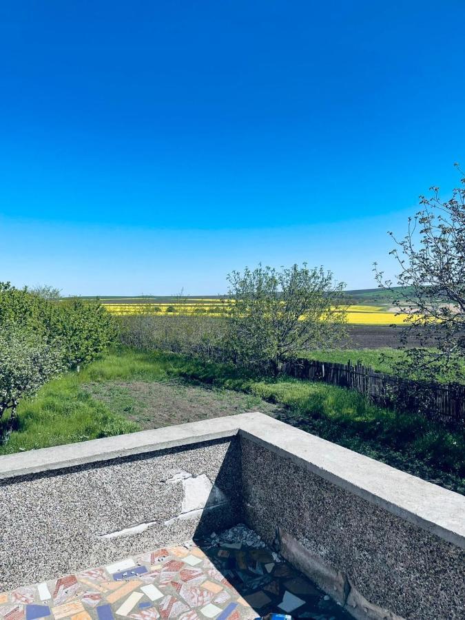 La Elvetian Otel Yaş Dış mekan fotoğraf